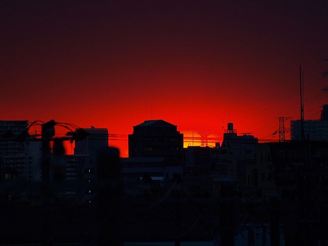 a0106043_23562966.jpg