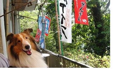 GW伊豆withあくび(2)_e0195743_111963.jpg