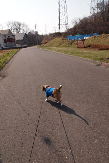 a0042044_23541.jpg