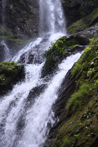 e0171249_85640.jpg