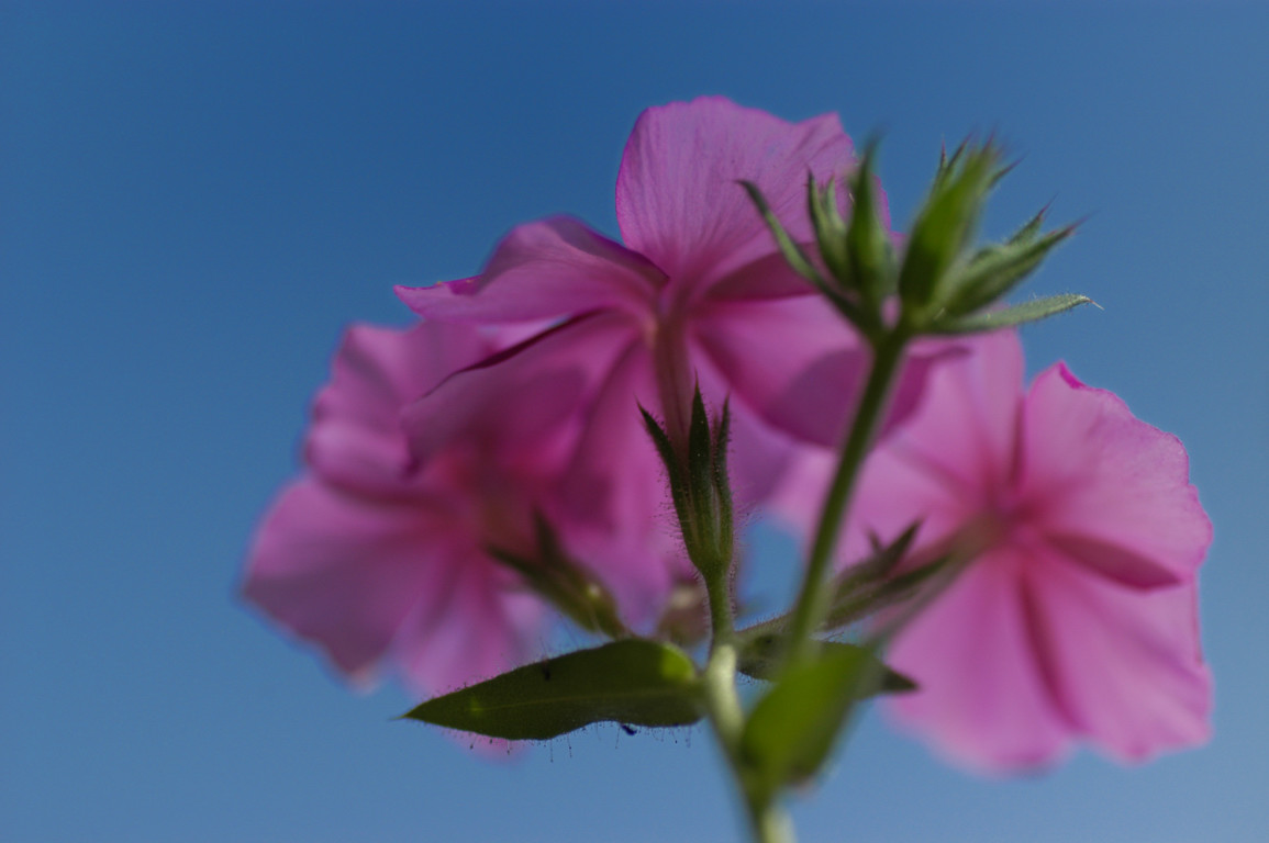 a0169060_021187.jpg