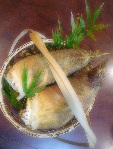 京都 塚原産の朝掘り竹の子 竹の子ご飯 覚書き。。。.゚。*・。♡ _a0053662_0242025.jpg