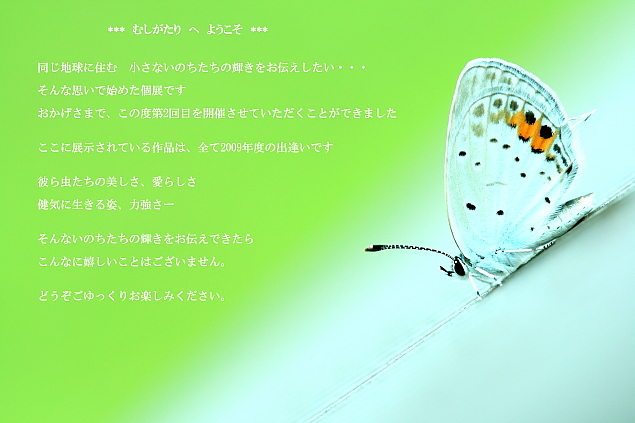 ■■　～むしがたり～　作品公開　vol.1 ■■_c0195662_2350114.jpg