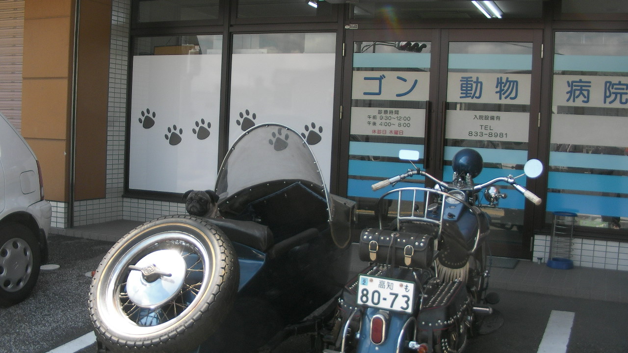 テツオ車検？_e0142063_2142172.jpg