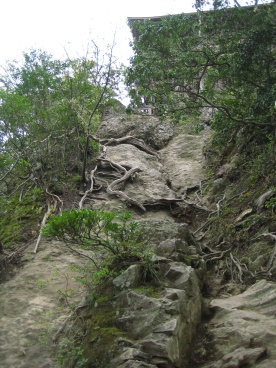 f0036263_12125776.jpg