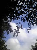 f0229664_0311835.jpg