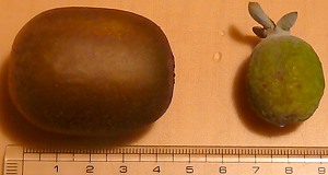 b0169765_13135387.jpg