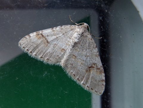 b0130166_20222877.jpg