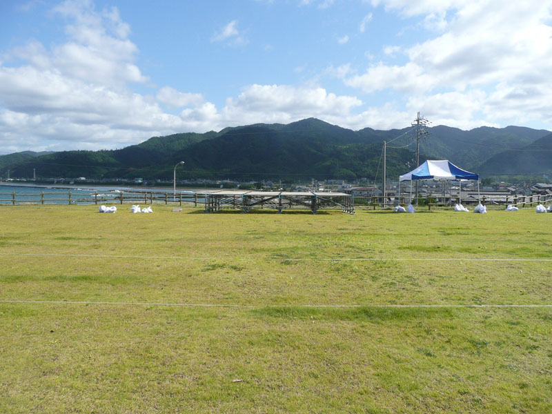 芝生でね~~~_f0184668_11862.jpg