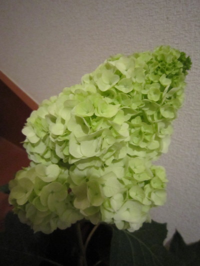 c0202870_20342545.jpg