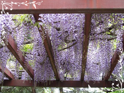 b0149071_921384.jpg
