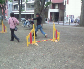 a0160075_19544991.jpg