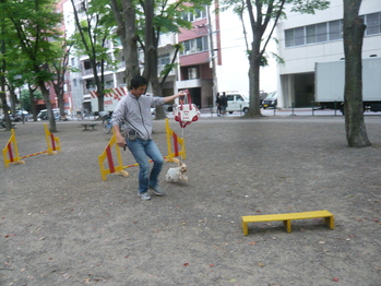 a0160075_20213086.jpg