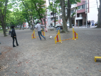 a0160075_20231649.jpg