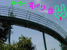b0035275_313399.jpg