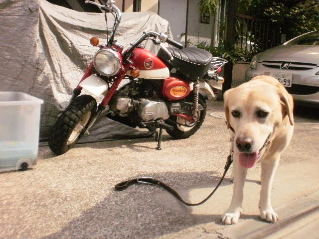 f0052277_273669.jpg