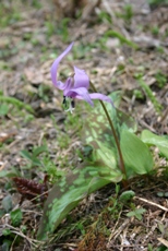 c0057781_21335230.jpg