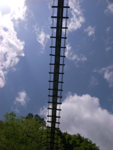 e0129083_2014212.jpg