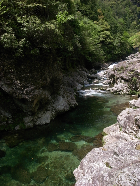 e0129083_20144299.jpg
