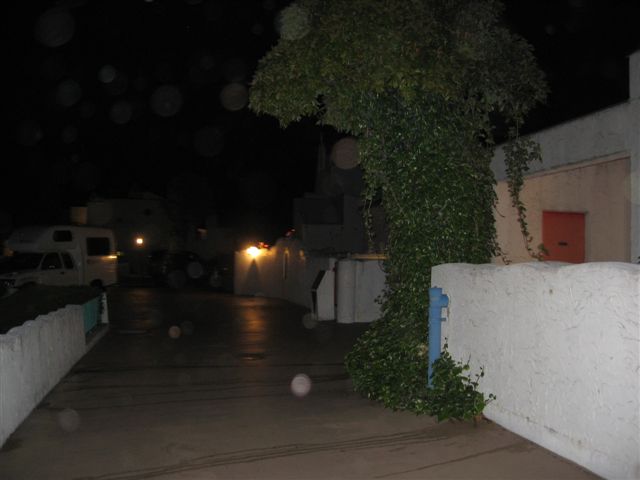 d0143284_2483791.jpg