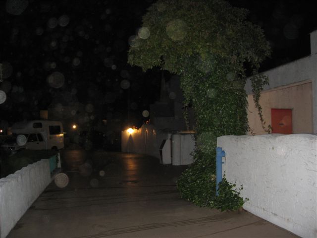 d0143284_2493137.jpg