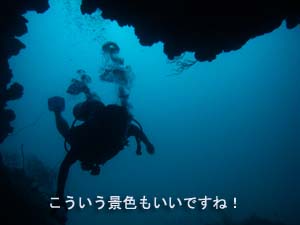 サメが戻ってきた!!_f0144385_21173841.jpg