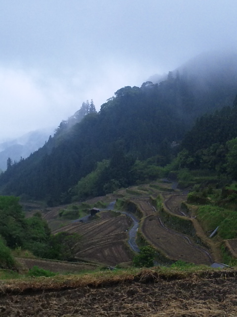 雨の景色_f0220089_1165176.jpg