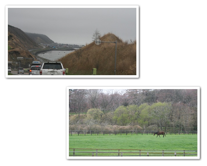 静内二十間道路の桜_f0146493_22271365.jpg