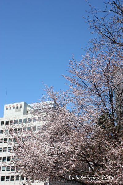 f0001895_16434597.jpg