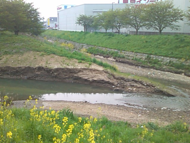 矢田川の堆砂除去_e0068696_18232973.jpg