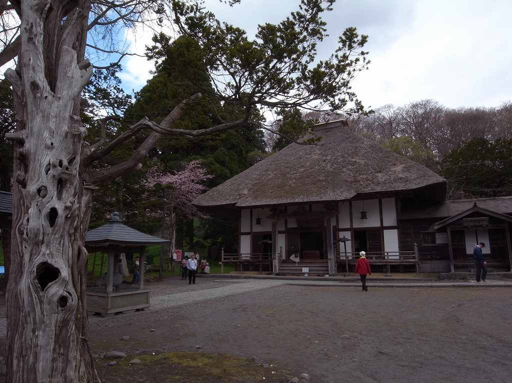 有珠善光寺周辺の桜 デジカメ持って野に山に 有珠善光寺周辺の桜 デジカメ持って野に山に