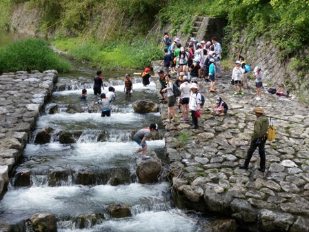 風光る陣場山トレイルランニング_d0122797_06029.jpg