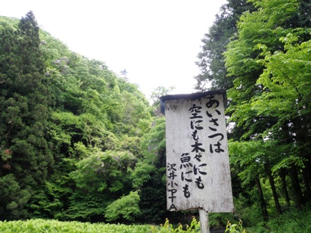 風光る陣場山トレイルランニング_d0122797_06418.jpg