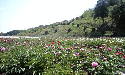 b0164299_23193132.jpg
