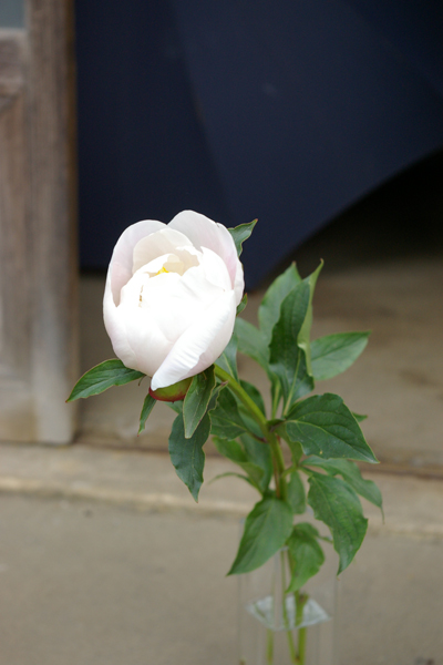花まだあります_f0162400_21134154.jpg