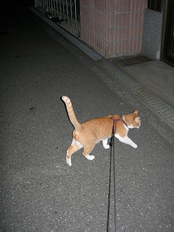 c0011501_23145945.jpg
