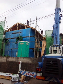 c0039501_2081383.jpg