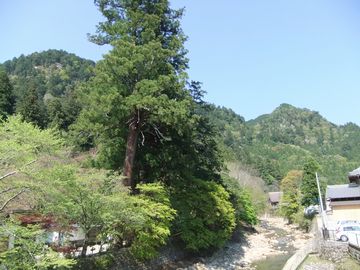 f0120102_70926.jpg