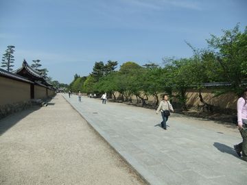 f0120102_859119.jpg