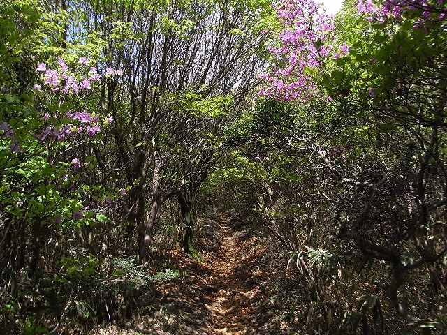 f0187402_17375815.jpg