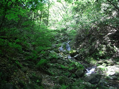 f0187402_17391189.jpg