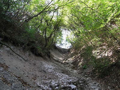 f0187402_1739388.jpg