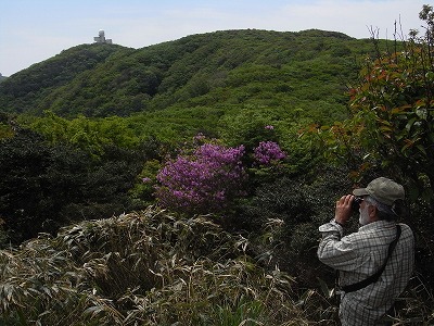 f0187402_17402311.jpg