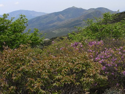 f0187402_1740730.jpg