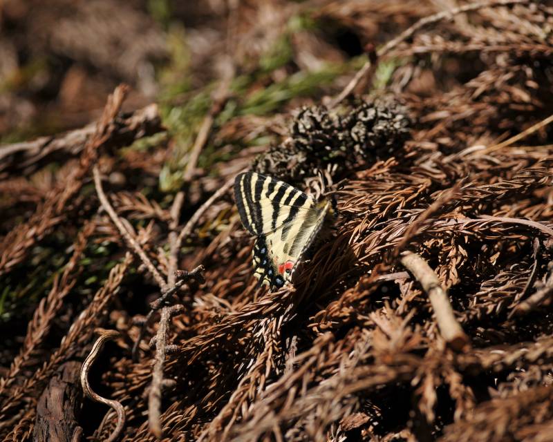 e0103903_201597.jpg