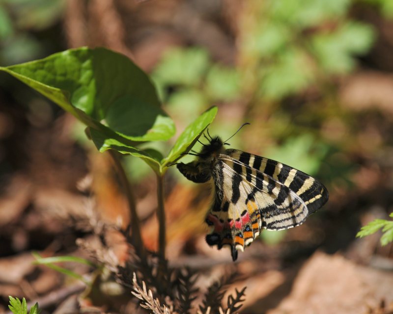 e0103903_2054011.jpg