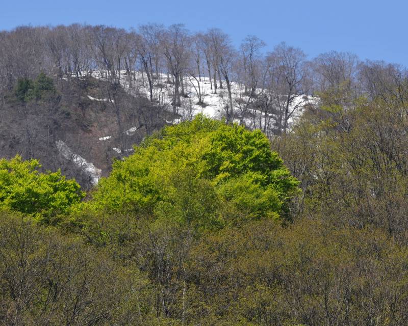 e0103903_2074153.jpg
