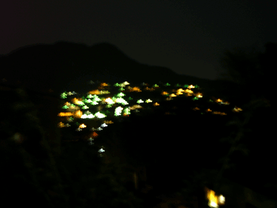 a0071805_20311190.gif