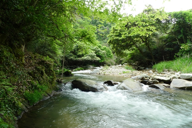 a0097006_2115949.jpg