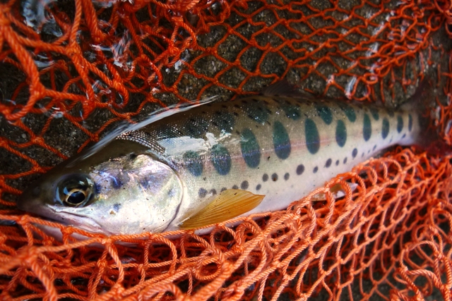 a0097006_2161861.jpg
